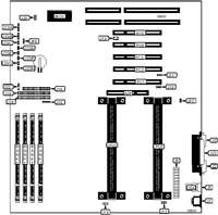 DIAMOND FLOWER, INC. &nbsp; P2XBL/D (REV. A+)