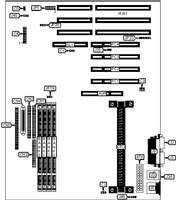 IWILL CORPORATION &nbsp; PIILS