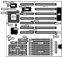 SEE-THRU DATA SYSTEMS, LTD. &nbsp; STO98C